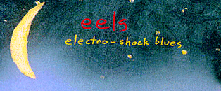 eels' electro-shock blues